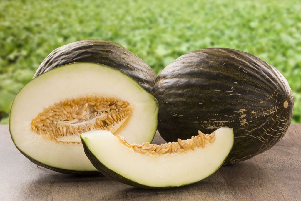 Melón Piel de Sapo