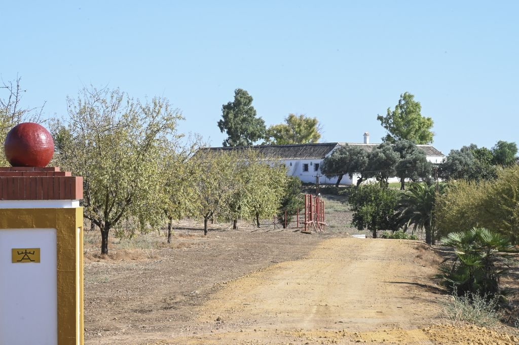 La Motilla