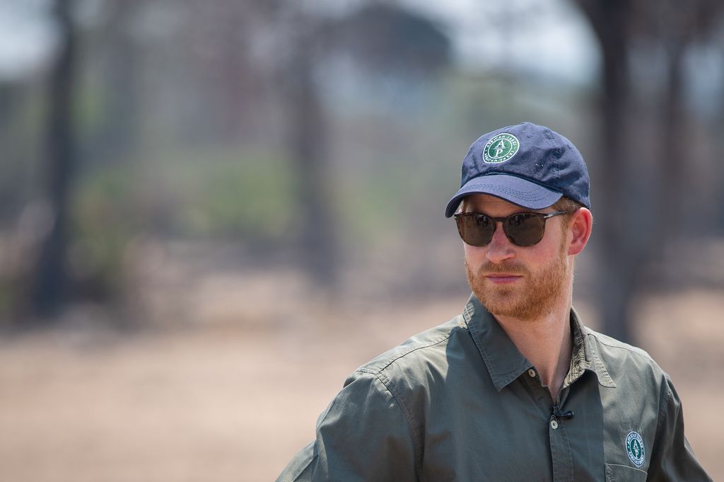 Príncipe Harry, con barba, usando camisa verde y gorra azul, en entorno natural.