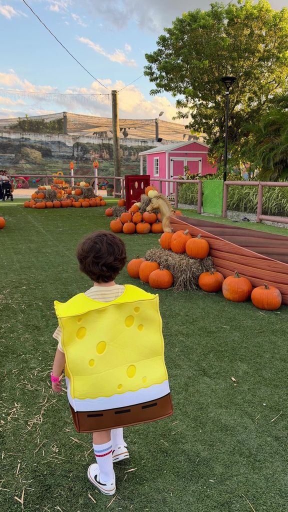 Marquito parecía muy entretenido en su paseo por el campo de calabazas.