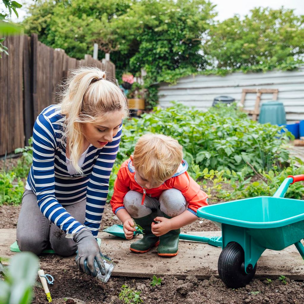 cultivar tu propio alimento
