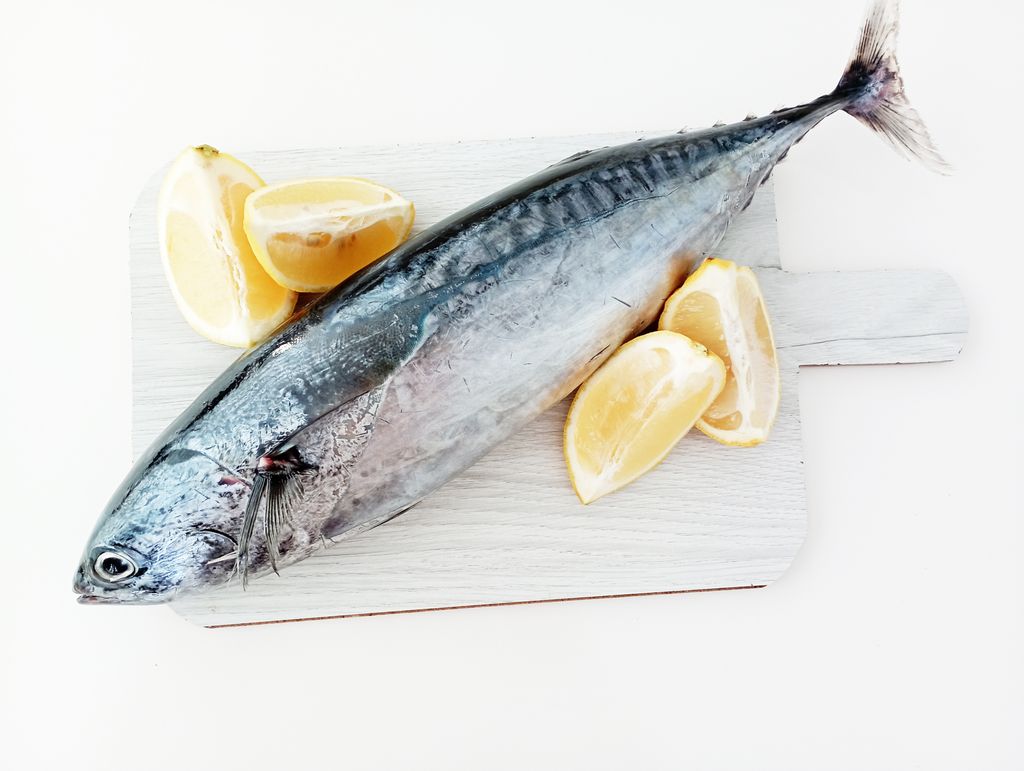 Bonito del norte,Pescados,Atún