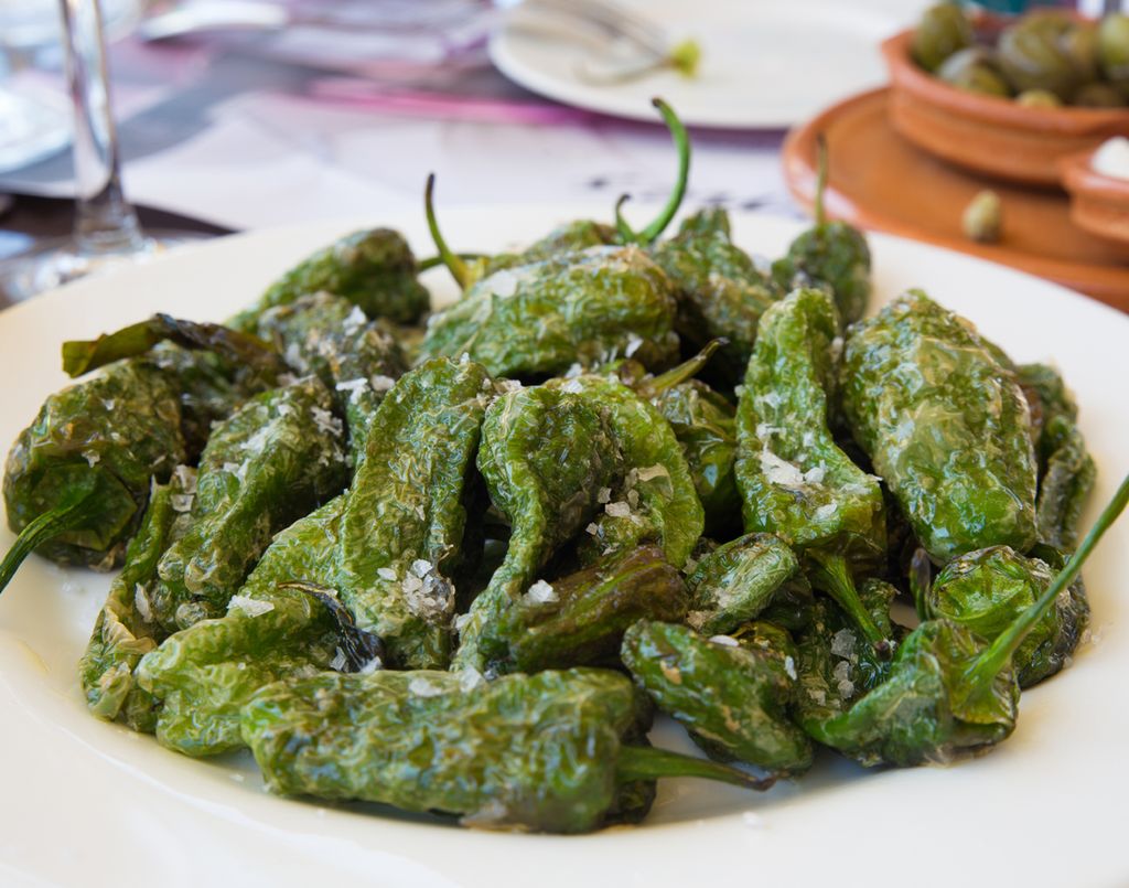 Simplemente fritos o asados, con un poco de sal en escamas, los pimientos verdes resultan deliciosos. 