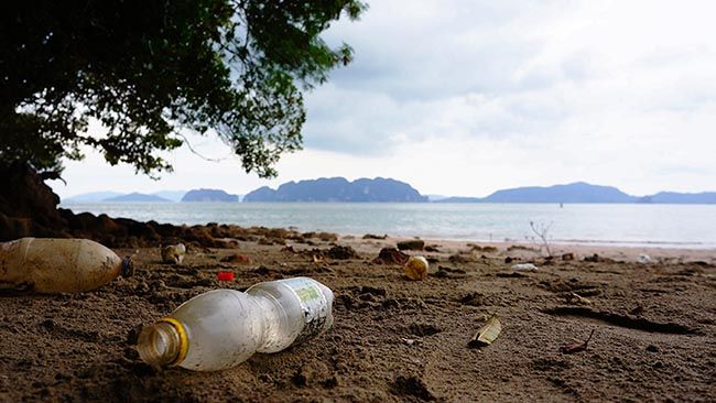 Cómo tener unas vacaciones sostenibles