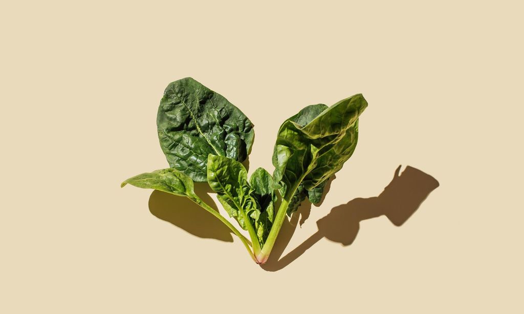 Espinaca