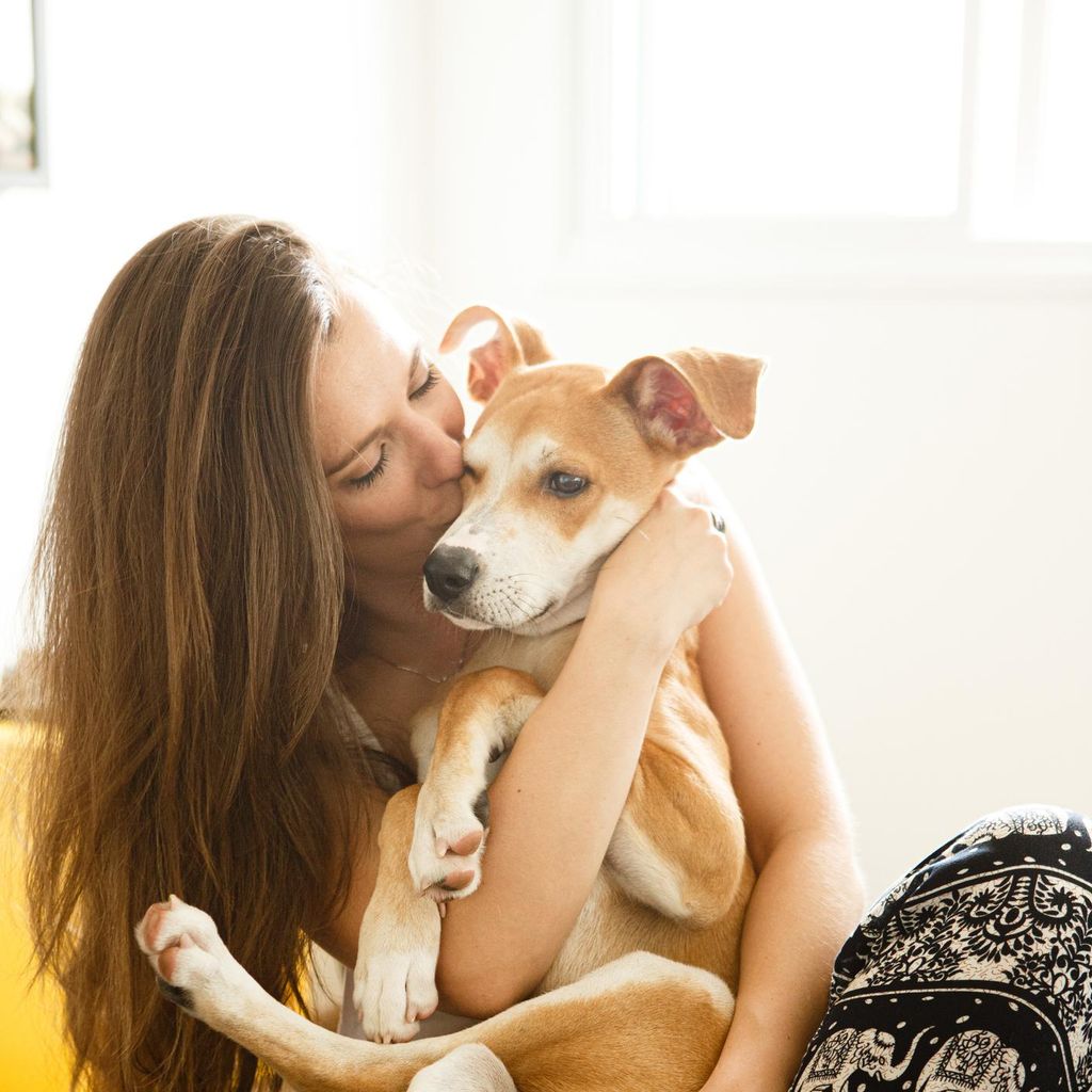 Lo que debes saber antes de adoptar una mascota