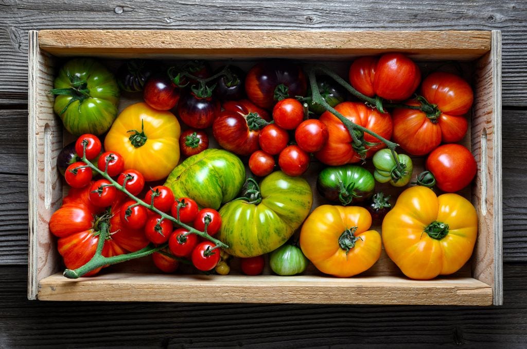 Cesta de tomates