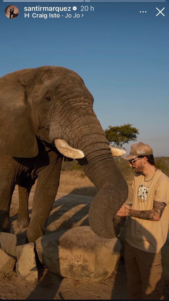 Santiago Márquez con un elefante en medio de la sabana africana