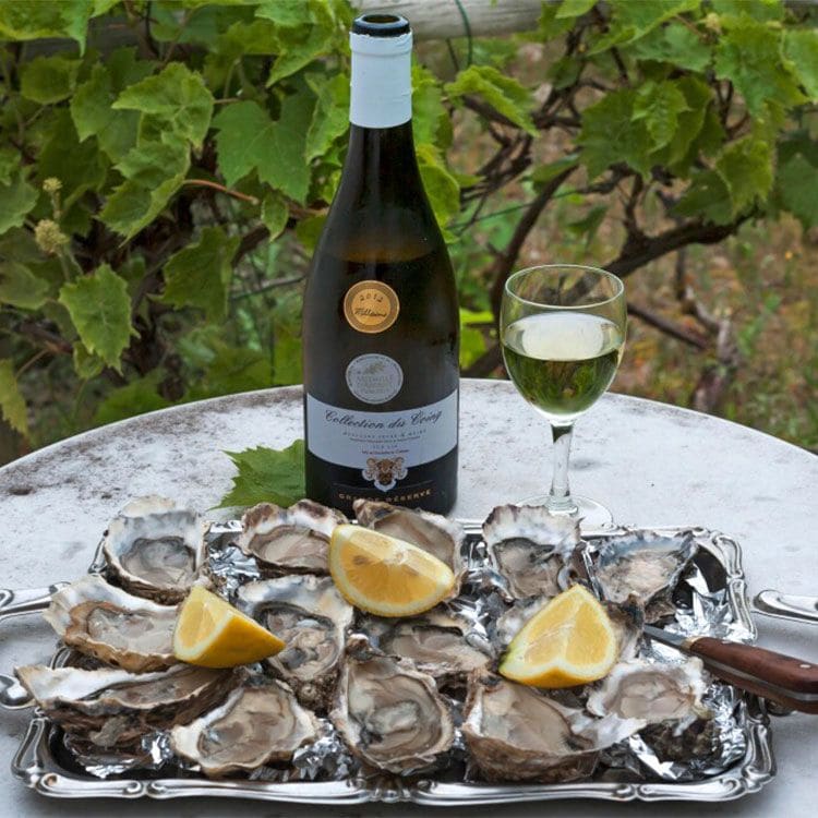 Ostras y vino blanco