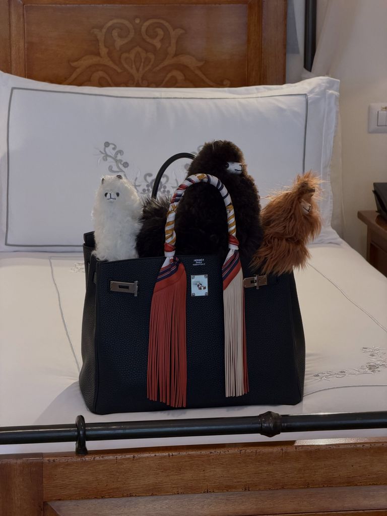 'Ya no me cabían más alpacas en mi bolsa', aseguró la credora de contenido