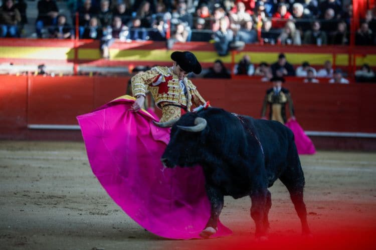 Juan Ortega toreando 