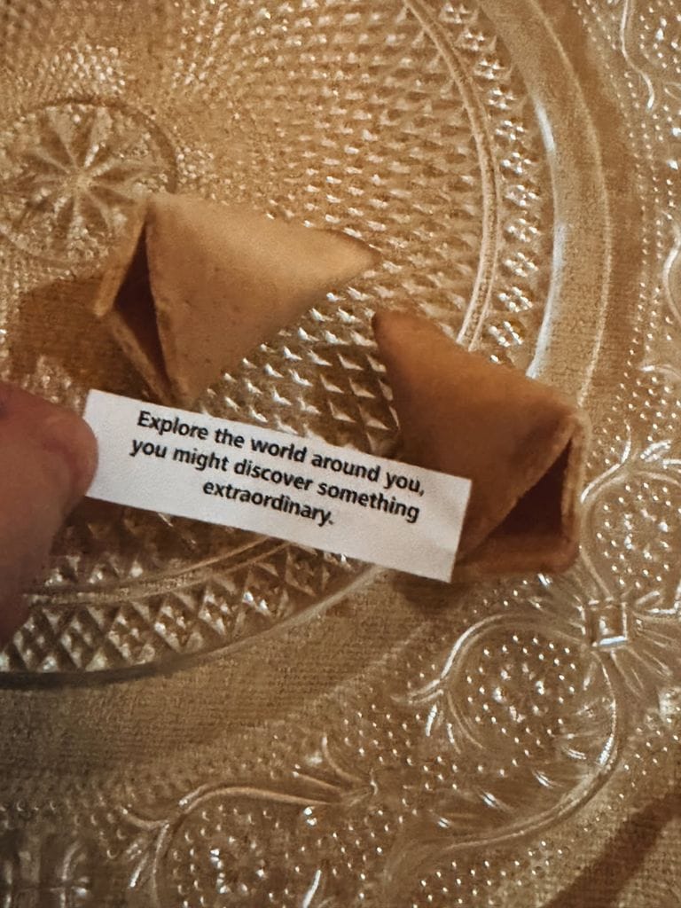 "Explora el mundo a tu alrededor, podrías encontrar algo extraordinario en él", ese es el mensaje que el universo tiene para Alice