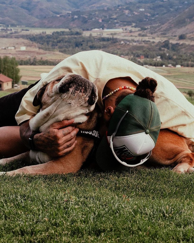 Lewis Hamilton agradeció los mensajes de cariñod e sus seguidores ante la situación de Roscoe.