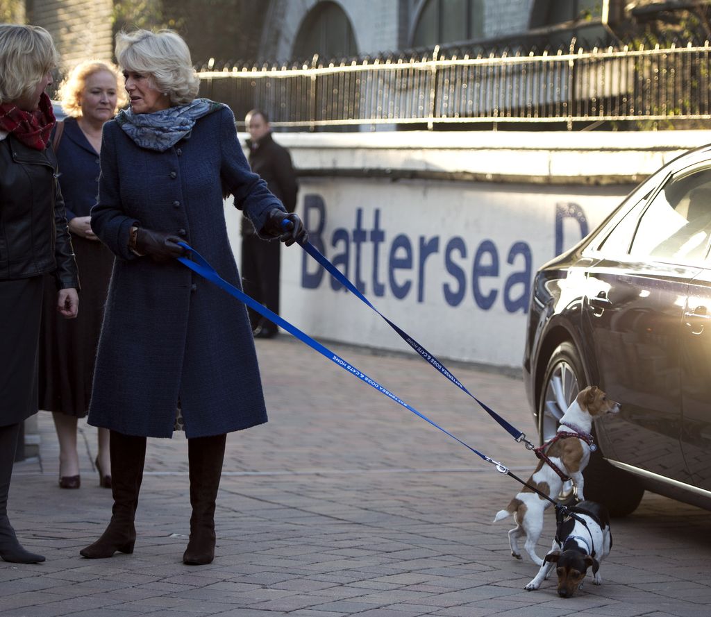 La reina Camilla con sus dos perros, Bluebell y Beth