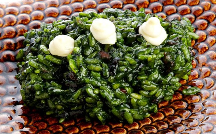 arroz_plancton_z