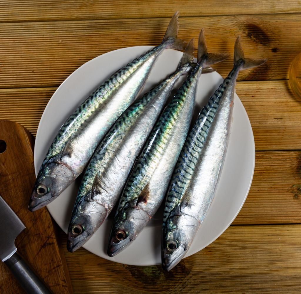 Las sardinas no pueden faltar en las costas españolas en verano donde se cocinan, sobre todo, en forma de espetos.