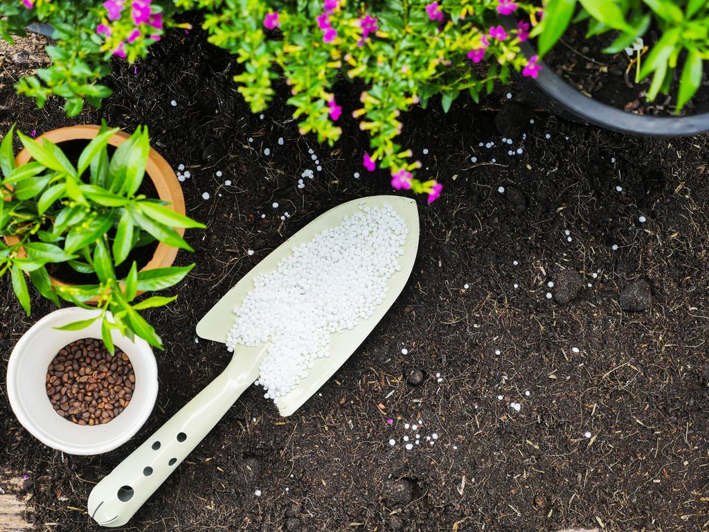 Abonar las plantas