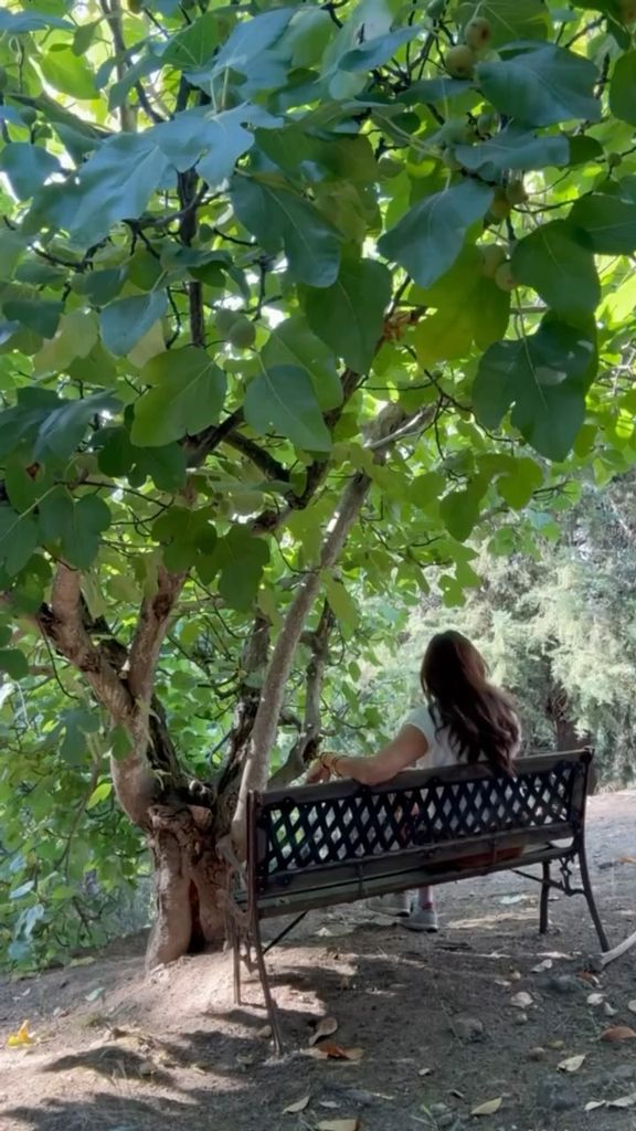 Paz Padilla, en el jardín de su casa en el Valle de Iruelas