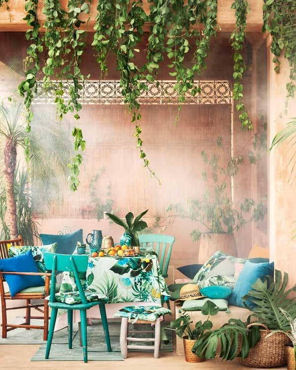 Tropical 3z