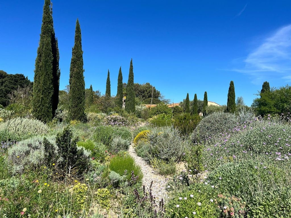 Un jardín sin riego del viverista gurú de plantas con bajos requerimientos hídricos Olivier Filippi