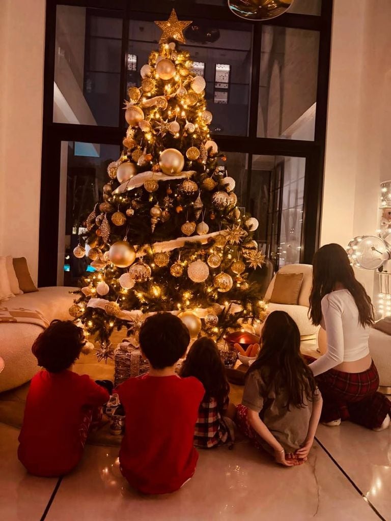Los 5 hijos de la pareja, en las pasadas Navidades