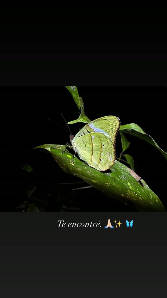 Sara Carbonero en la Amazonia ecuatoriana