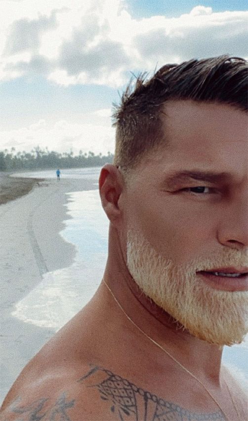 Ricky Martin