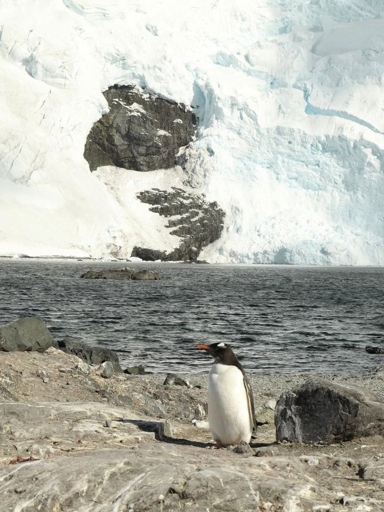 Imagen compartida por el hijo de la célebre pareja