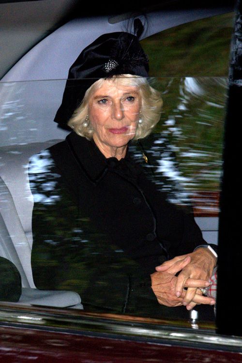 Camilla, la reina consorte