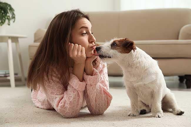 ¿Cómo hacer con las mascotas durante la cuarentena si tienes la custodia compartida? 