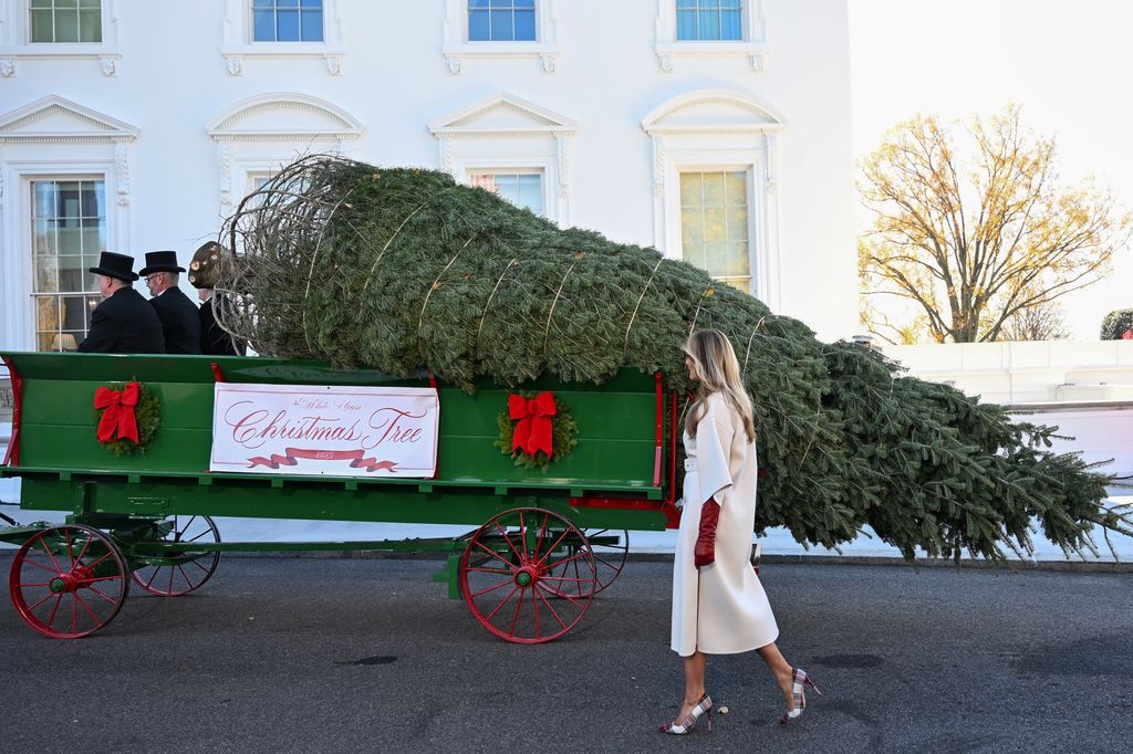 US First Lady Melania Trump welcomes the official 2025 White House Christmas Tree at the White House in Washington, DC on November 24, 2025. The 25-foot concolor fir was grown at Korson's Tree Farms in Sidney Township, Michigan, and will be displayed in the Blue Room of the White House during the holiday season. (Photo by Alex WROBLEWSKI / AFP via Getty Images)