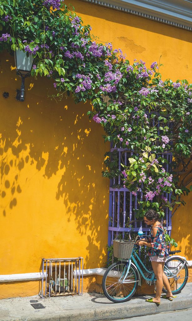 Cartagena Grace by Assouline 4