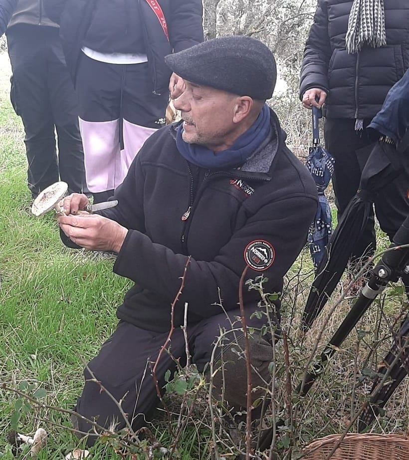 El experto micólogo Vicente Sevilla