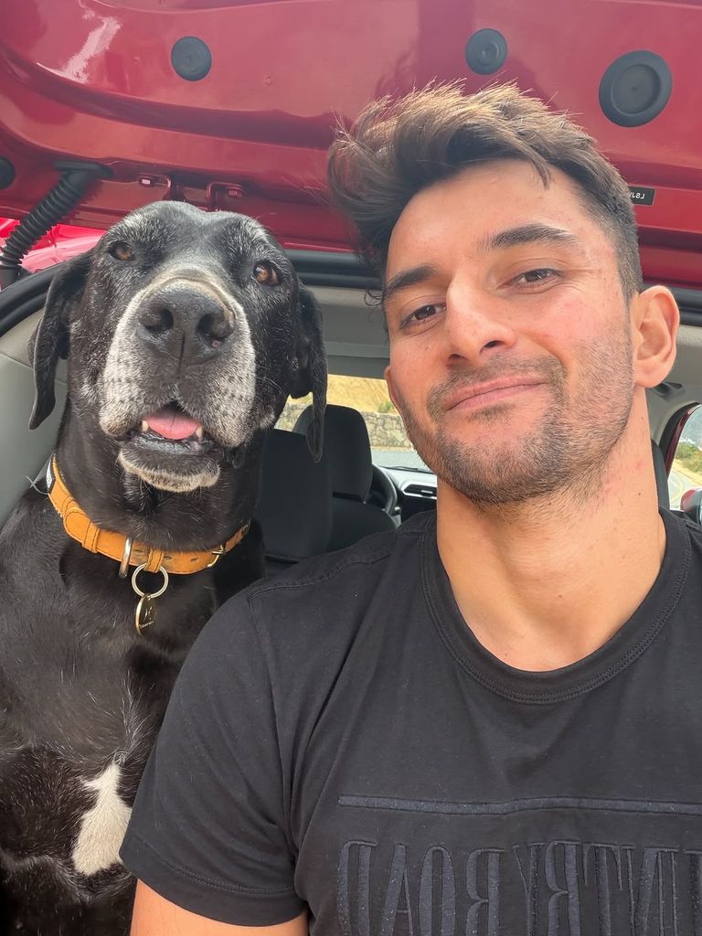 El veterinario Amir Anwary recomienda empezar a cuidar las articulaciones de los perros antes de que aparezcan los primeros síntomas de artritis