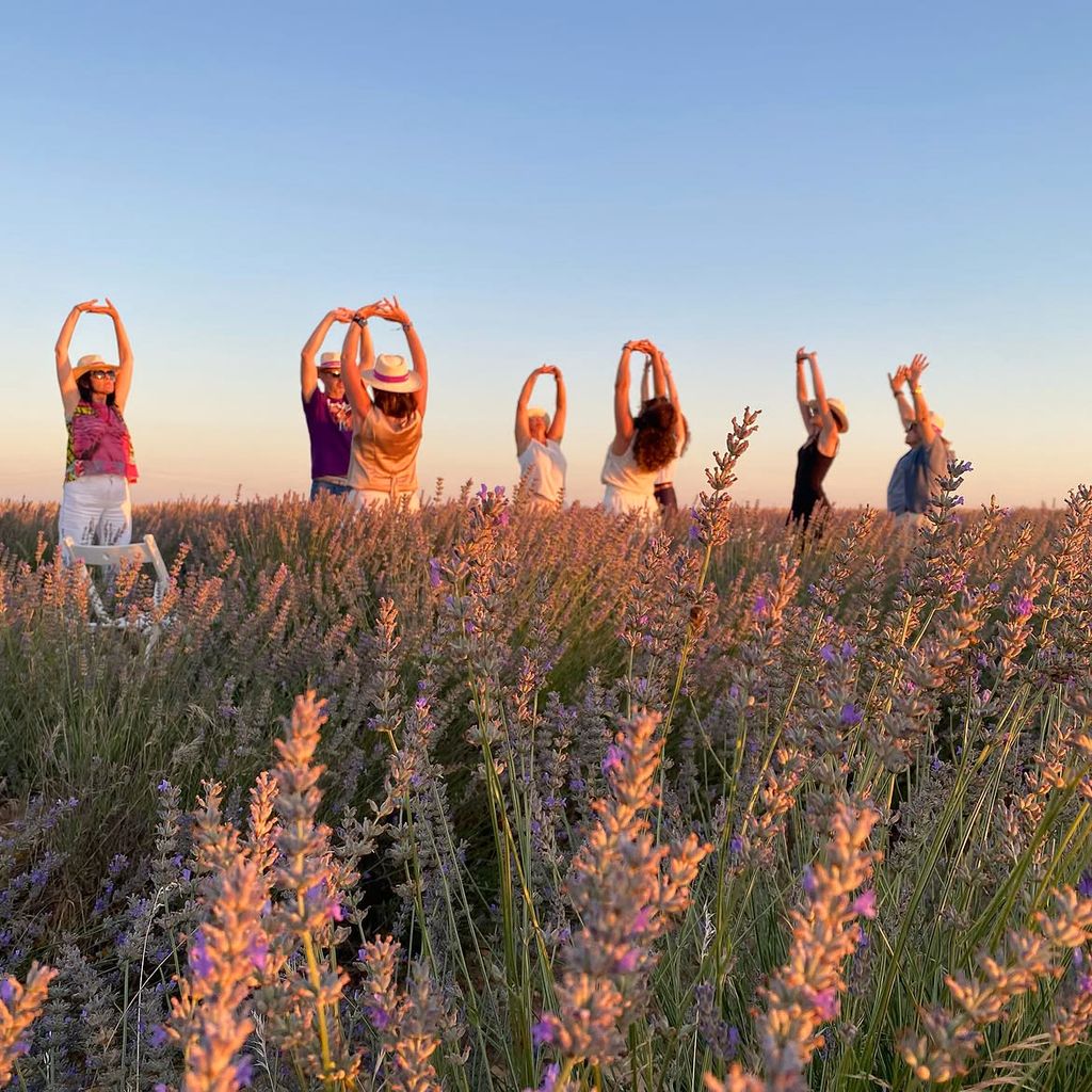 Mindfulness en los campos de lavanda, Tiedra, Valladolid