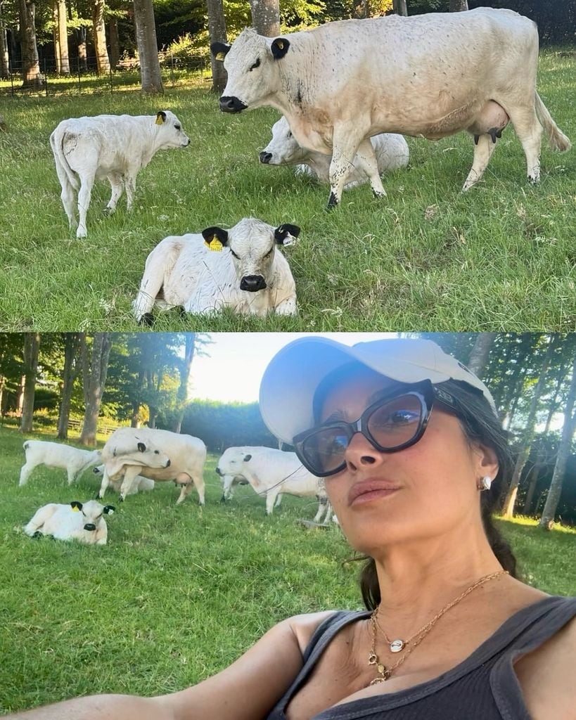 Salma Hayek tiene el plan de verano perfecto en la granja y junto a sus amigos
