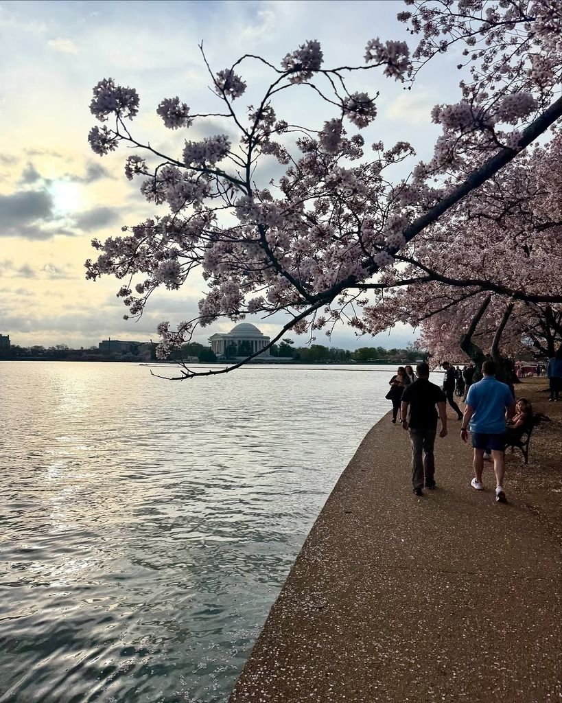 Durante su paseo por el Tidal Basin, Barack Obama quedó encantado con el colorido paisaje de los cerezos en primavera