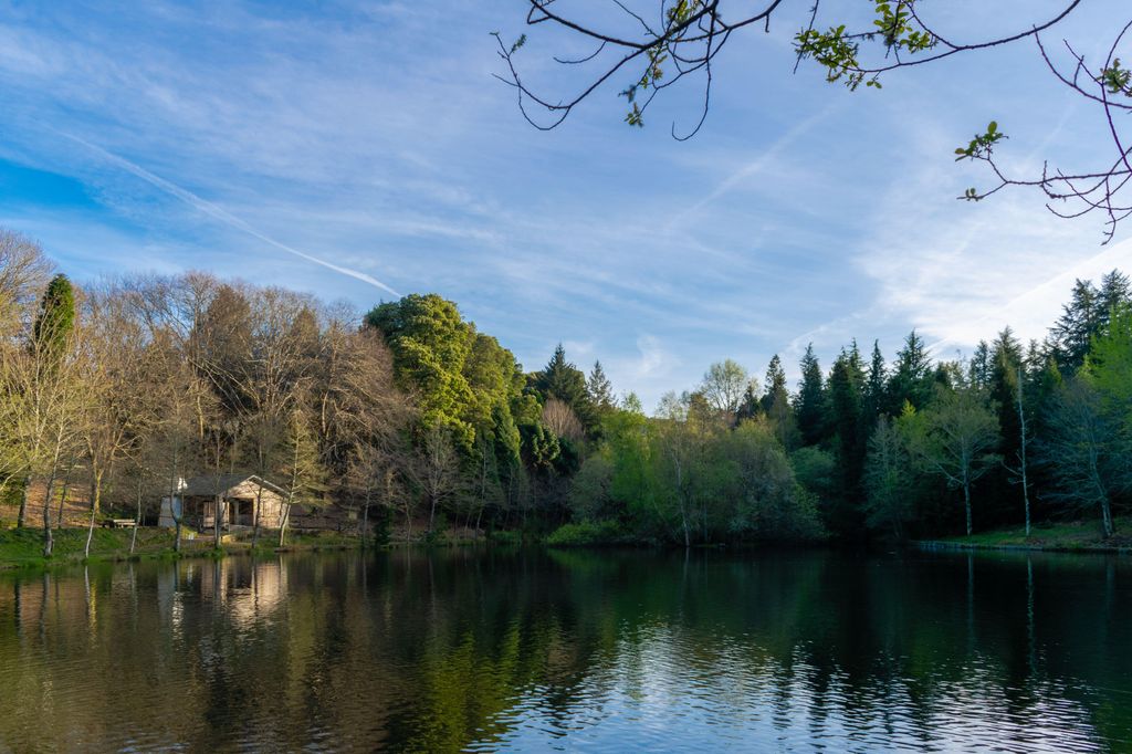 Lago de Castiñeiras