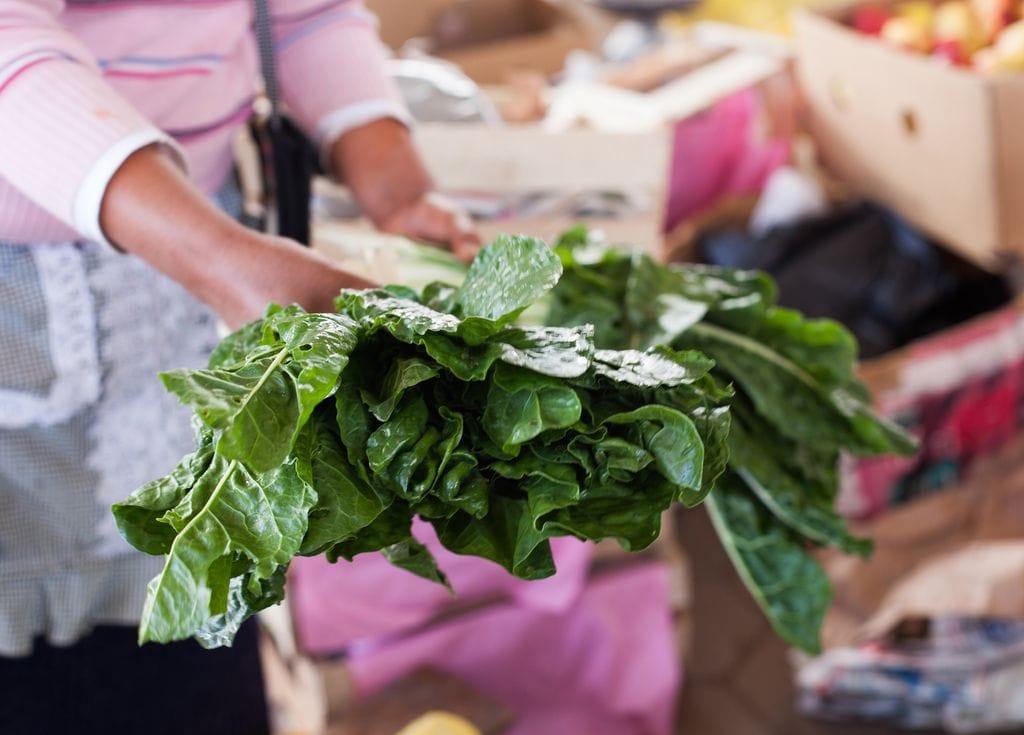 Acelgas frescas