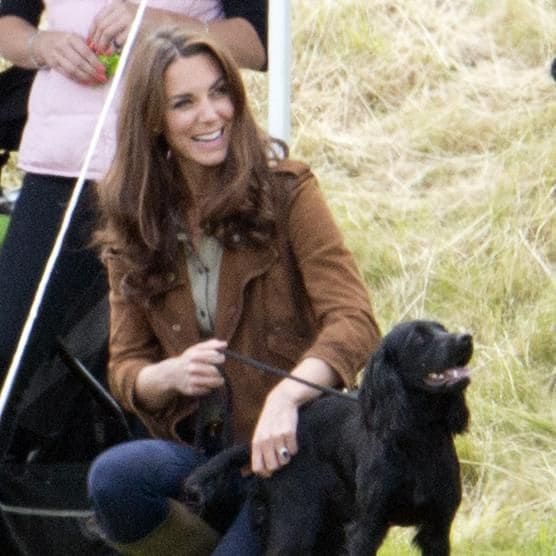 lupo el perro del pr ncipe william y kate middleton