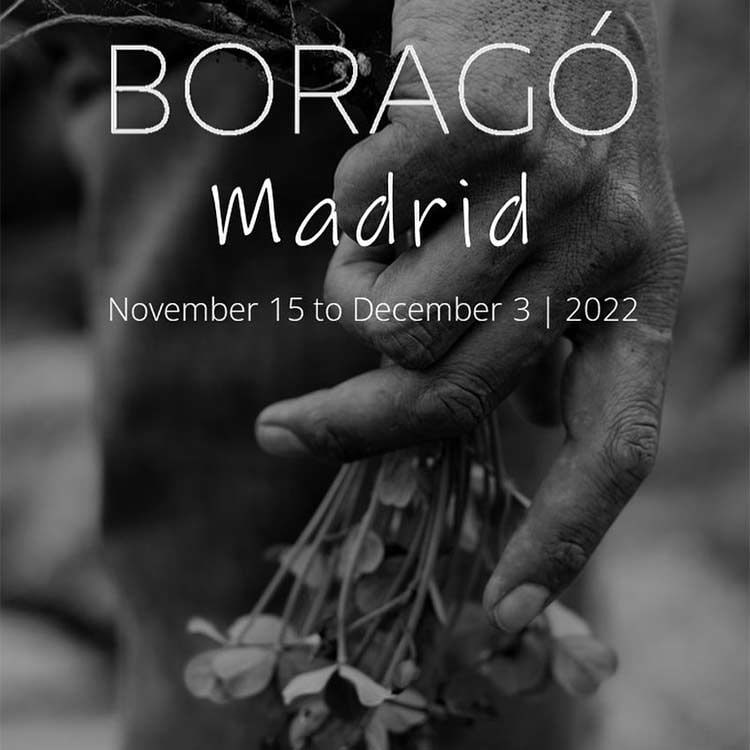 borago-madrid
