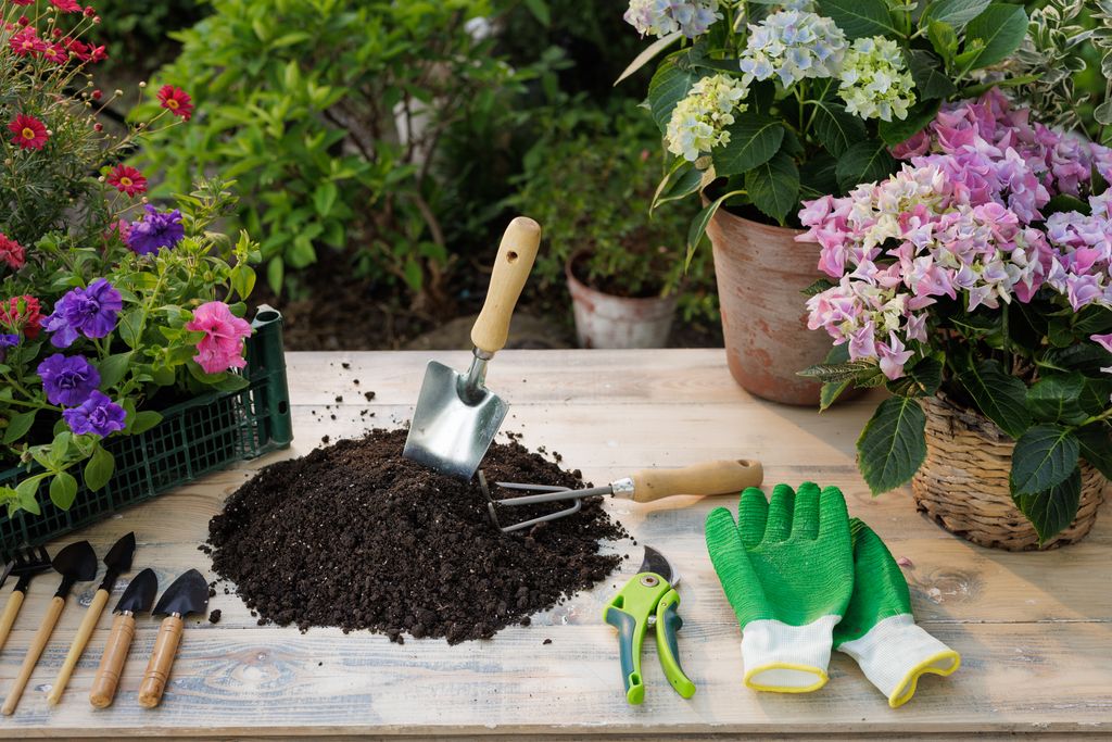 Sustrato para plantas