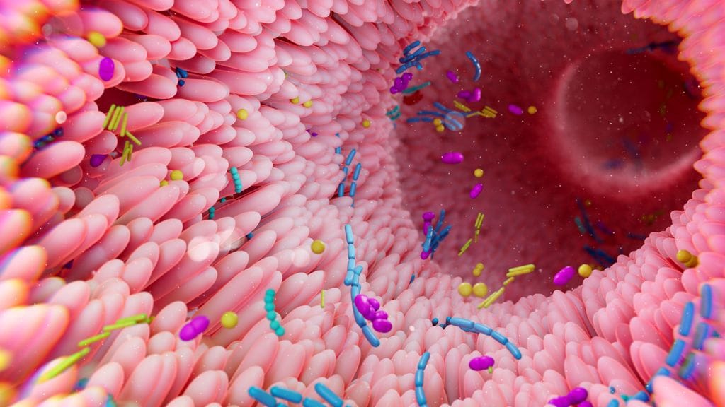 Microbiota 