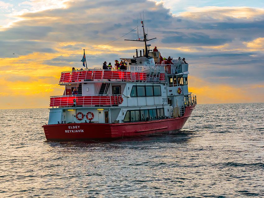 islandia-barcos-avistamientos