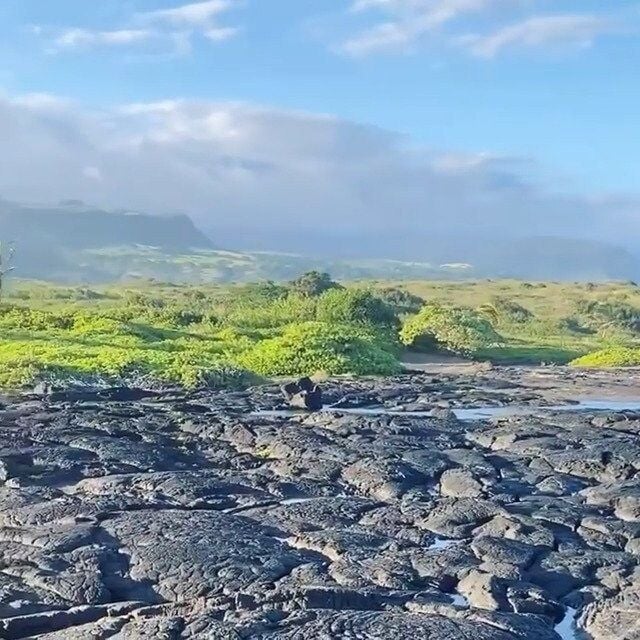 aislinn derbez