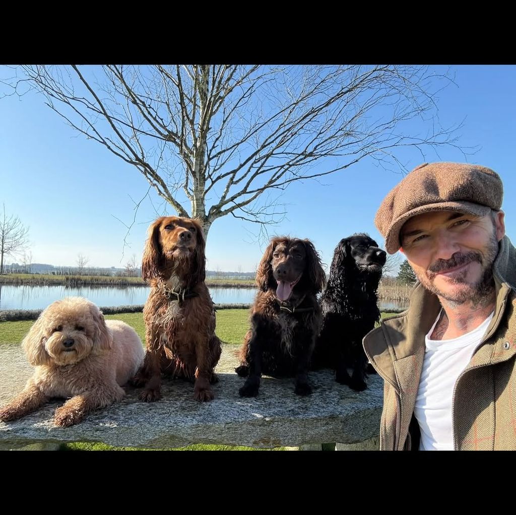  David Beckham recuerda el 2025 en redes sin una sola foto de su hijo Brooklyn