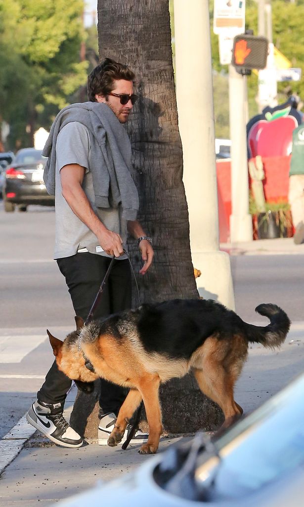 jake gyllenhaal