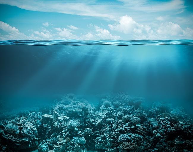 El color del mar está cambiando a causa del cambio climático