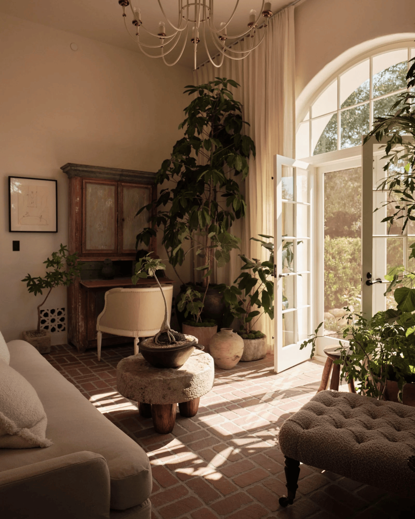 Salón con plantas