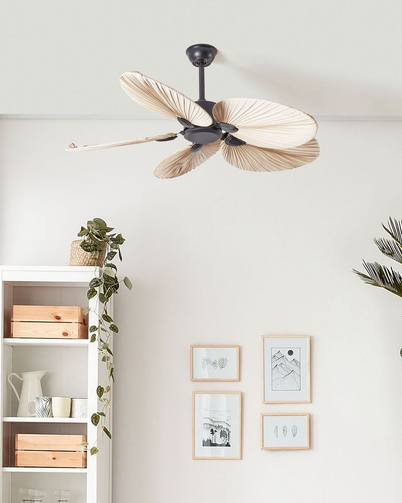 Ventilador de techo exótico.